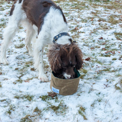 Collapsible Canvas Dog Bowl