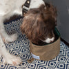 Collapsible Canvas Dog Bowl