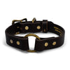 Premium 1" Wide Leather Dog Collar
